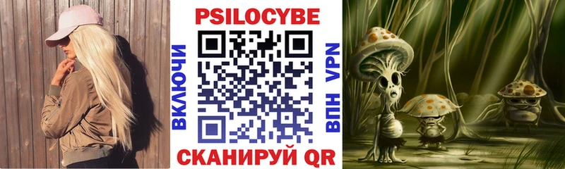 Псилоцибиновые грибы ЛСД  ссылка на мегу как войти  Стародуб 